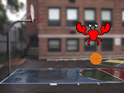 Basketball