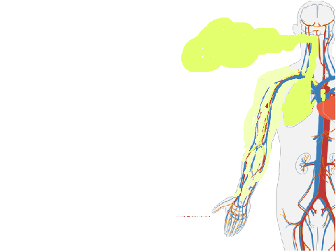 Blood animation