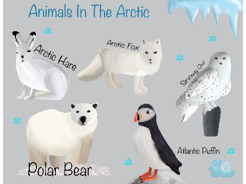 Scientific Animal Study