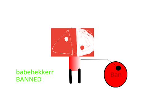 I press the ban button on BabeHekkerr