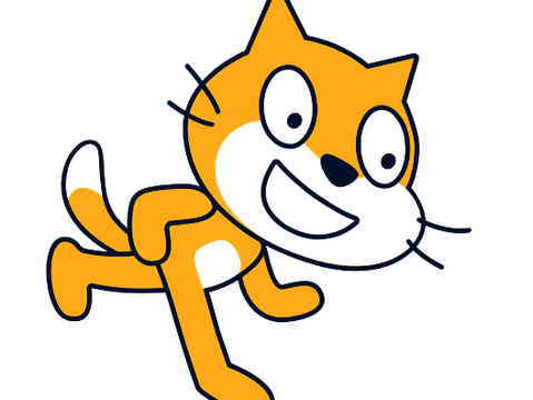 Spinning Cat