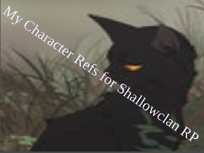 My cat refs for Shallowclan RP