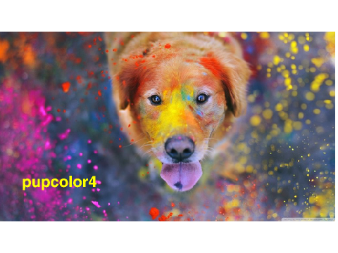 icon for pupcolor4