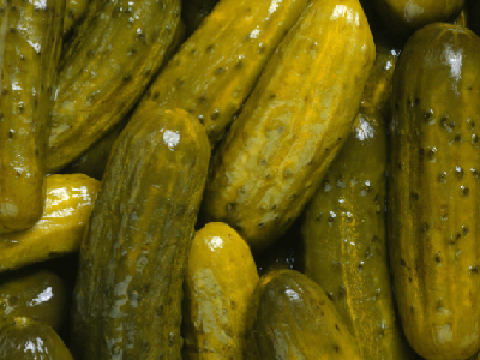 PICKLES!!!!!!!!!!!!!!!!!!!!!!!!!!!!!!!!!!!!!!!!