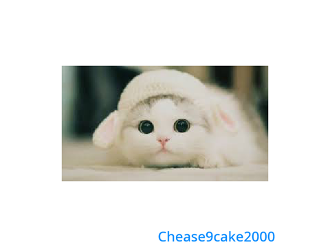 Remix if you like cats/si tu aimes les chats!
