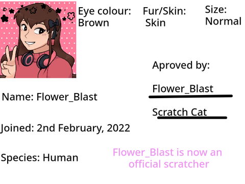 XSnowbunny13X's Scratch Licence remix remix-2