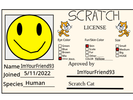 My Scratch Licence