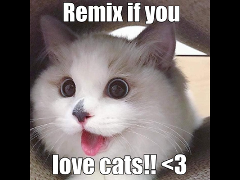 Remix if you love cats!! <3 remix remix remix remix
