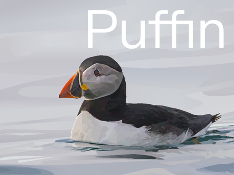 Puffin Art