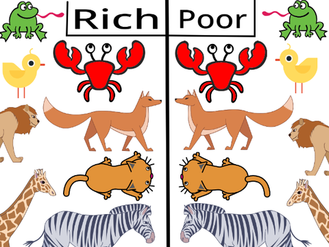 Poor vs Rich animals