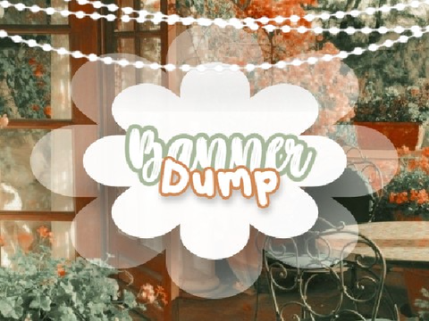 banner dump