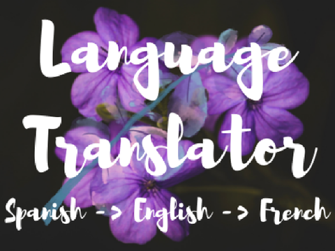Language Translator ˎˊ-