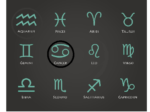 Circle Le Zodiac  remix
