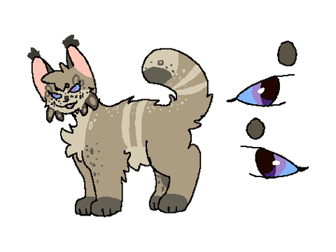 Skippykit