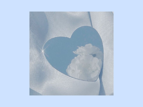 ♡ BLOOM ♡