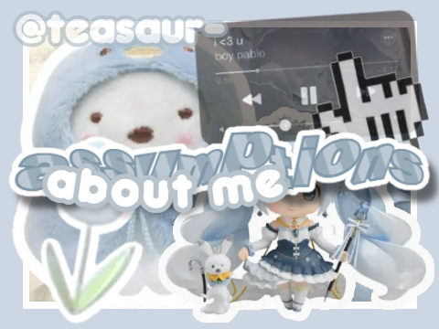 ✈️ // assumptions abt me ୨୧