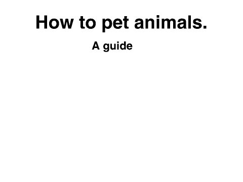 How to pet animals