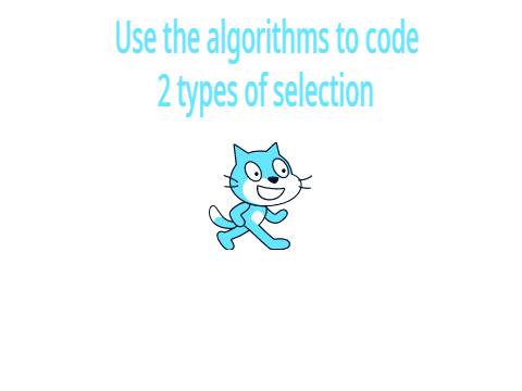 Maths quiz exploring 2 types conditional selection copy
