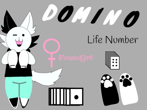 Introducing Domino!