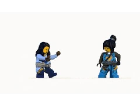 Ninjago Show...