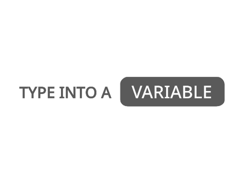 Type Into a Variable