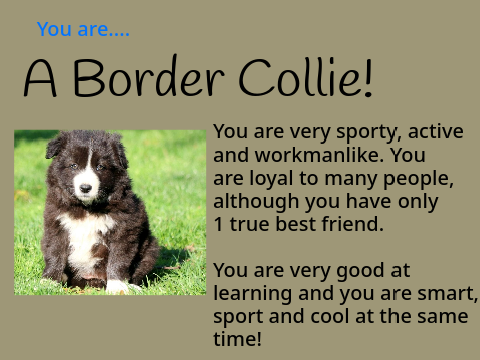 What Dog Breed Are You??