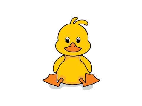 Duck Theory custom cats only need 2 legs