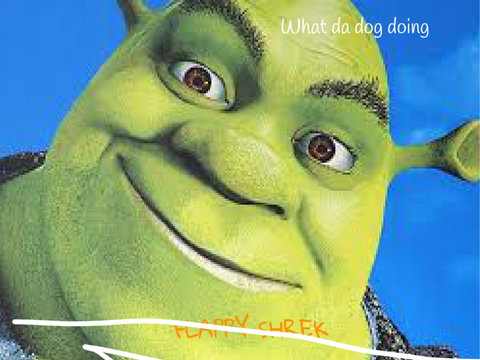 What da dog doin
