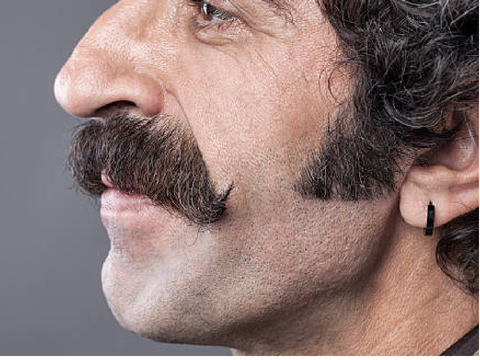Mustachio Macho Man - and art ig lol