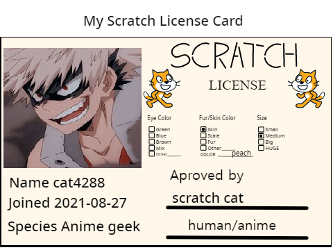 my license card (not irl card lol) remix