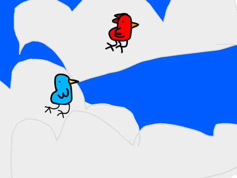 Bird chase