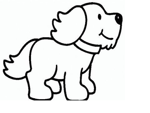 Name and Colour this puppy CLOSED