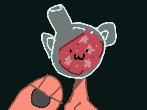 hello says potion cat