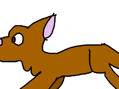 Animation test
