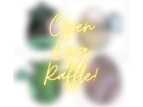 40+ CLOSED Egg Raffle!