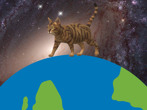 -ˏˋ❃~Rotating Cat Explores The World~❃ˊˎ- 