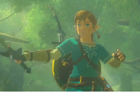 100th Project -- Link BotW