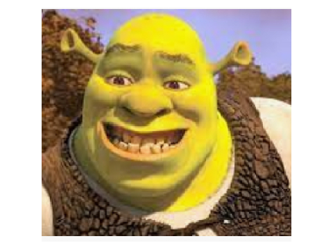 Face Reveal