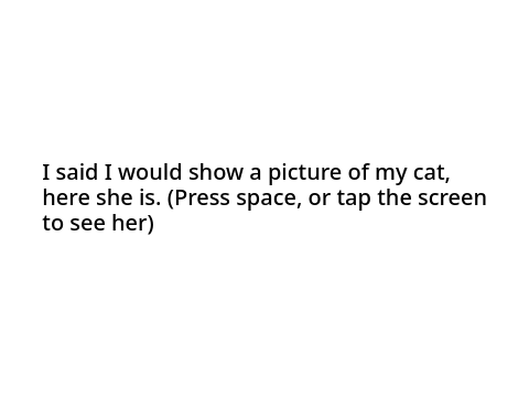 Here a picture of my cat