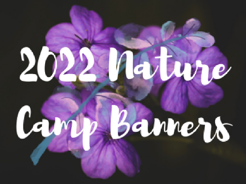 2022 Nature Camp Banners