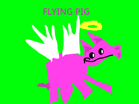 FLYING PIG