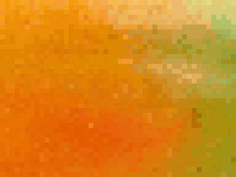 Mr. Papaya