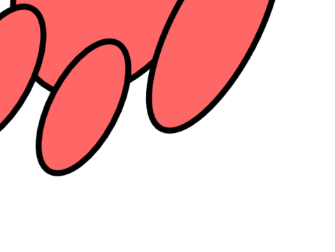 Scratch Project
