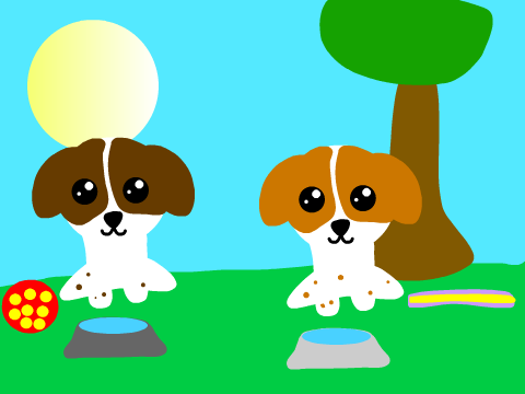 Brittany Spaniel Puppies!!!