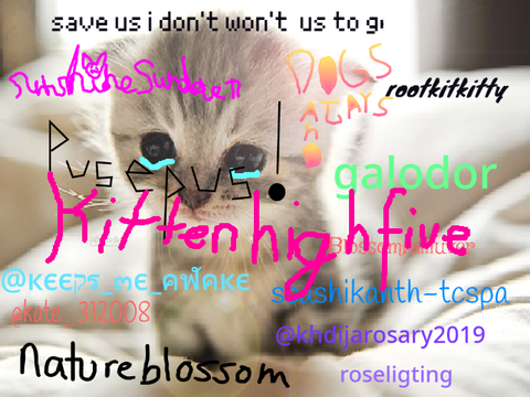 Sign if you care about animals remix remix