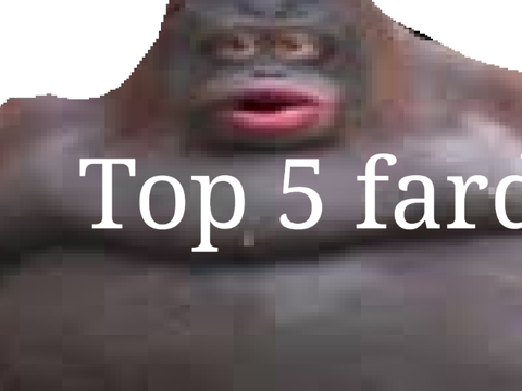 Top 5 fard