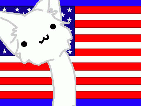 IT'S THE FOURTH OF JULY //parties
