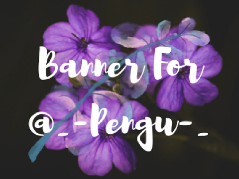 Banner For @_-Pengu-_