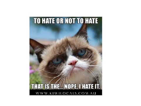 Cat memes that show that dogs are better than cats