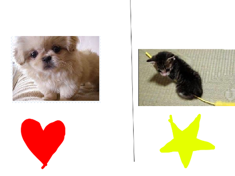 Dogs or Cats